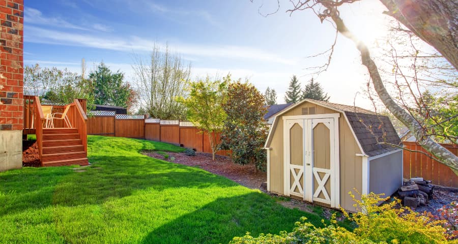 Fenced backyard with storage shed in Las Vegas